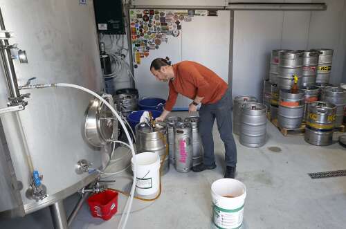 'The beauty of life': Tonality Brewing Company in Mundelein to host fundraiser for public art - Vimarsana News
