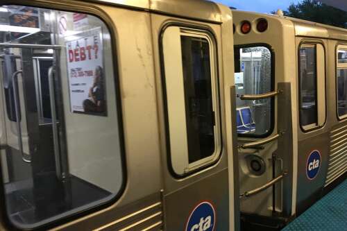 Man fatally stabbed on CTA Blue Line in Rosemont; person in custody