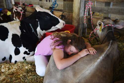 Not what it once was, but still plenty of ag to show off and celebrate at Lake County Fair