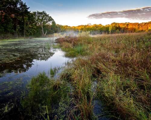 The Land Conservancy of McHenry County preserves 16 5 acres expanding