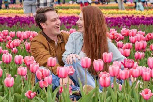 Fourth annual Tulip Festival to launch soon at Richardson Farm - Vimarsana News