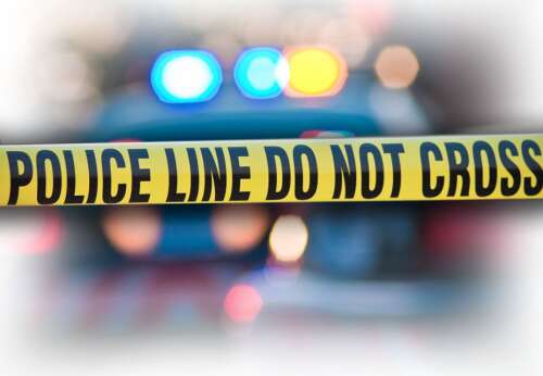 Report: Body of missing St. Louis woman found in forest preserve near Des Plaines