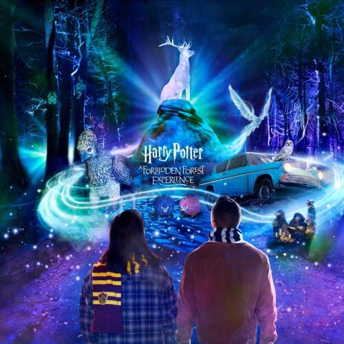 ‘Harry Potter’ magic comes to Ingleside