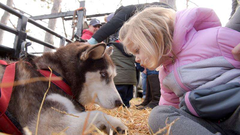 Celebrate Husky Heroes at annual Morton Arboretum event