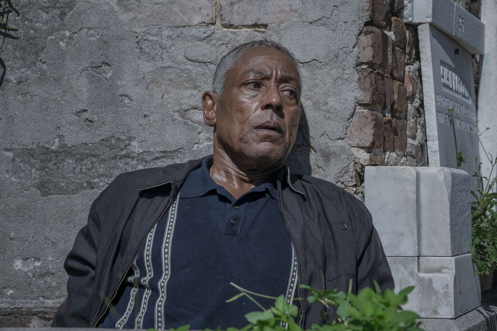 Giancarlo Esposito always had leading-man credentials