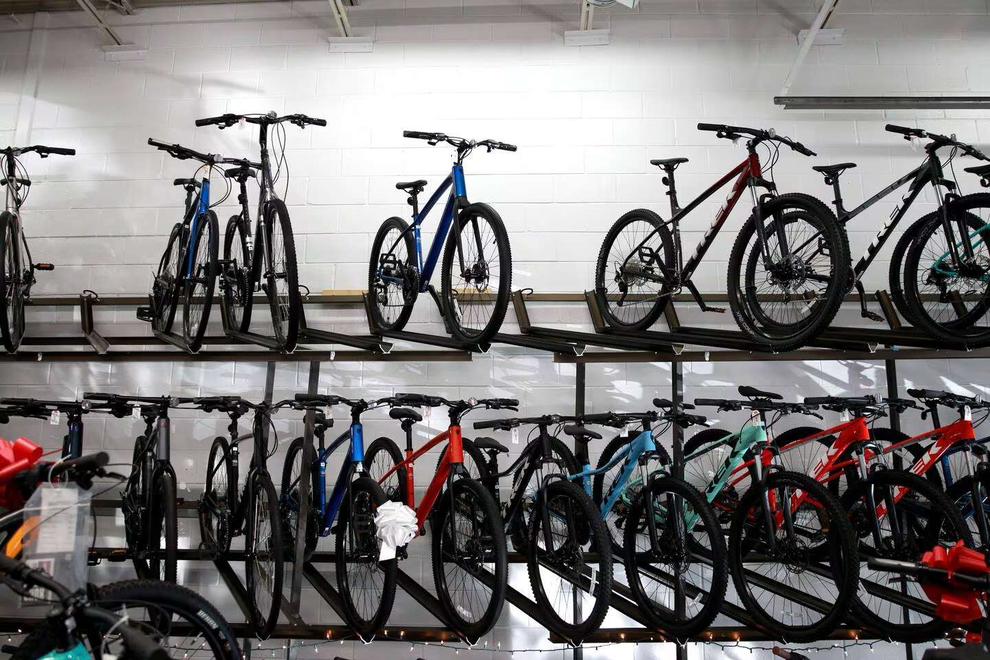 Bike shop girl family cyclery new arrivals