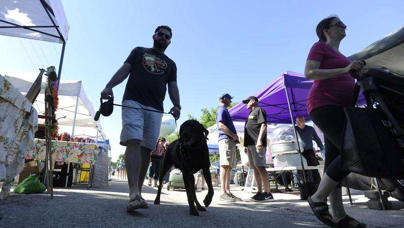 Dog farmers market top