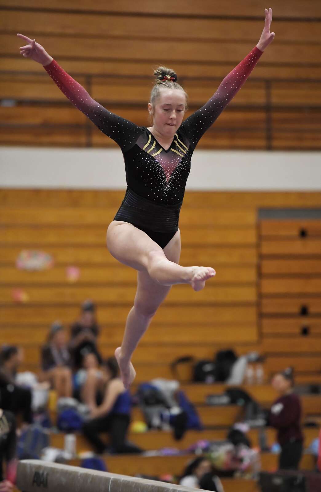 Girls gymnastics: Lake Park avoids falls, flies to DuKane Conference  championship