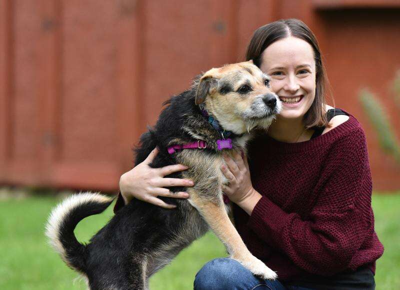 Almost heaven dog rescue sale