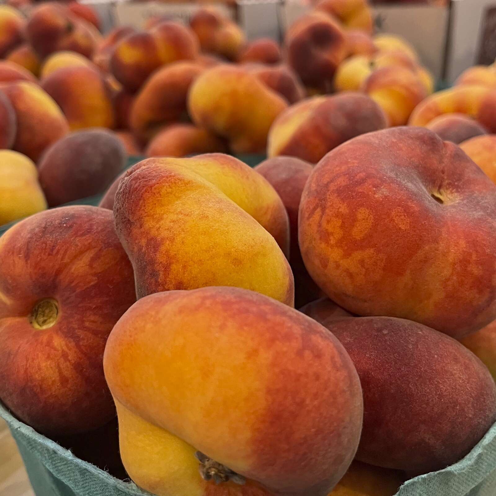 Peach Trees: Planting, Growing, and Harvesting Peaches