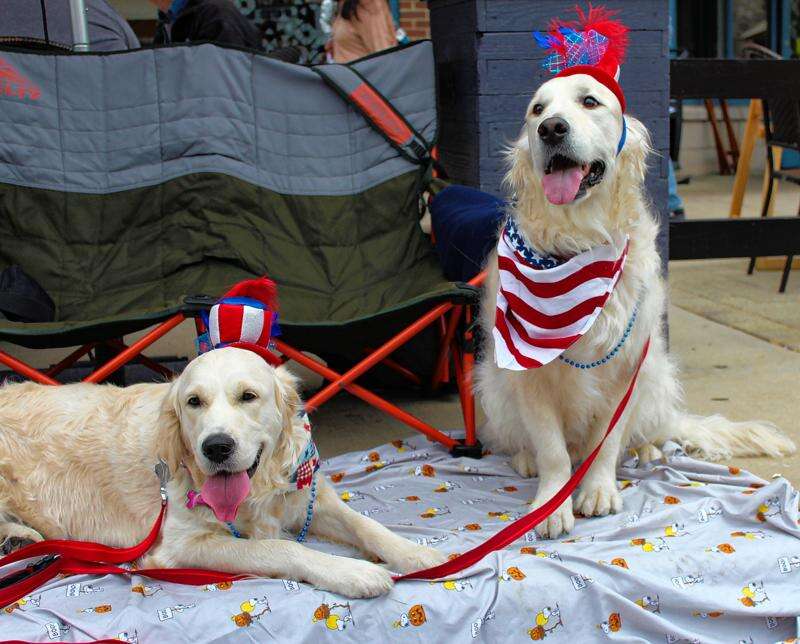 La Grange Pet Parade Connects People, Pets and Community