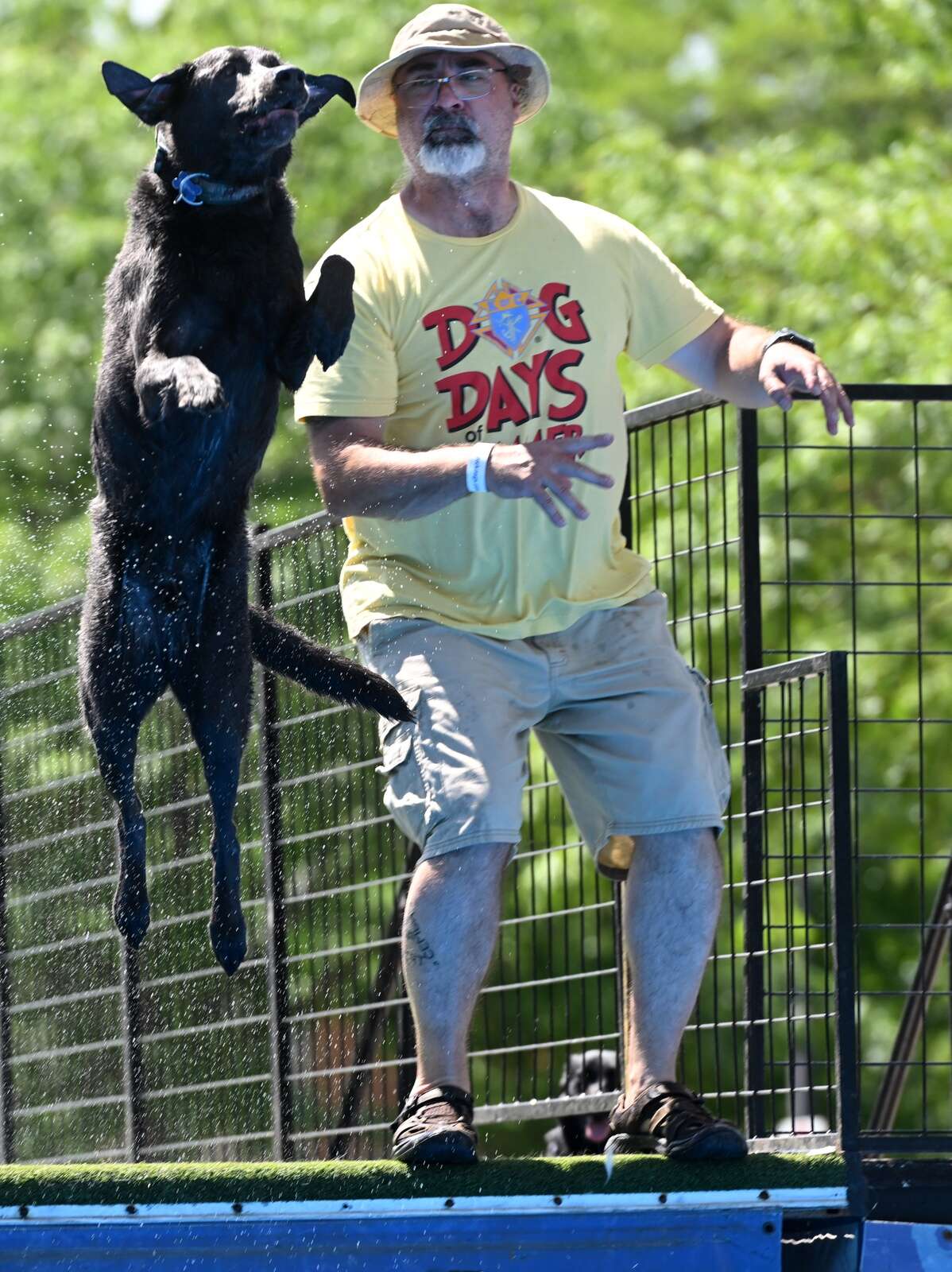 Libertyville jumping into Dog Days of Summer