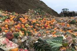Food scraps are collected at a Midwest Organics site near Wauconda.