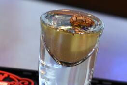 Noon Whistle Brewing is serving a cicada-infused Malört at their Lombard brewpub. The empty husk floater is an option should you choose to go all in.