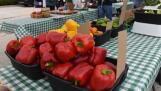 Colorful peppers are among the produce items available at the Arlington Heights Farmers Market, which is open Saturdays through mid-October.