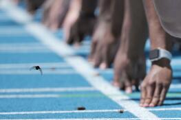 A cicada takes flight as competitors line up at the starting line of the 100-meter dash at the IHSA boys state track and field championships at Eastern Illinois University in Charleston on Saturday, May 25, 2024.