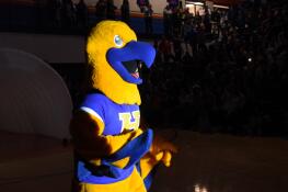 Hoffman Estates High School unveiled its new Hercules the Hawk mascot during an assembly Wednesday.