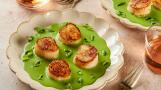 Seared Scallops With Creamy Herb Sauce is so elegant, sumptuous and nourishing, it’s hard to believe how quickly and easily it comes together.