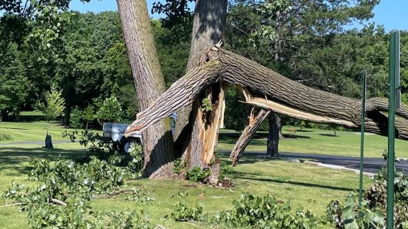 Severe storms, that spawned three suburban tornadoes, downed several trees near Geneva late Sunday, including this damage spotted at Geneva’s Wheeler Park.