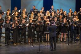 The nearly 2-year-old Schaumburg Choral Artists group will perform a concert Sunday, May 19, at the Al Larson Prairie Center for the Arts before touring Ireland and Scotland in June.