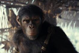 Noa (Owen Teague) and "Kingdom of the Planet of the Apes" ruled the box office this weekend.