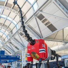 Hawkiosaurus? United recognizes Blackhawks’ centennial with dino-sized tribute at O’Hare