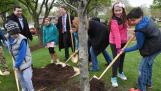 Arlington Heights Mayor Tom Hayes, fourth from left, looks on as students from Dryden Elementary School plant a tree during a previous Arbor Day Celebration. This year’s event is set for April 26 at Rand-Berkley Park.