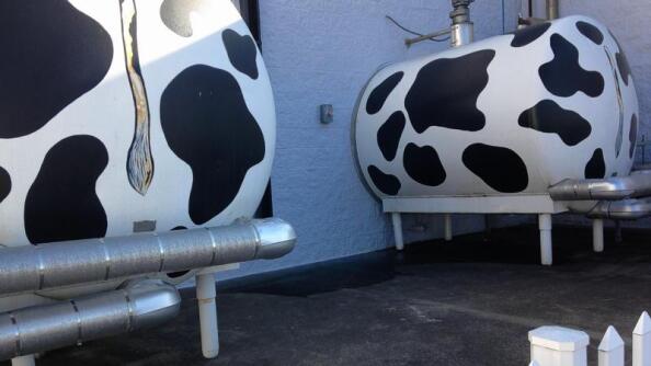 Milk storage tanks are painted to look like Holstein cows at the Oberweis Dairy headquarters, at Ice Cream Drive and Orchard Road in North Aurora.