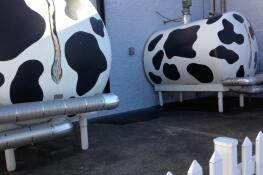 Milk storage tanks are painted to look like Holstein cows at the Oberweis Dairy headquarters, at Ice Cream Drive and Orchard Road in North Aurora.