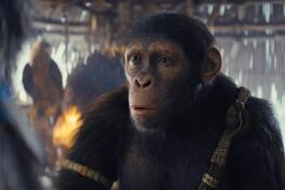 Young Noa (Owen Teague) becomes the leader and hero when his village is attacked by fellow apes in “Kingdom of the Planet of the Apes.”