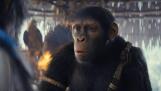 Young Noa (Owen Teague) becomes the leader and hero when his village is attacked by fellow apes in “Kingdom of the Planet of the Apes.”
