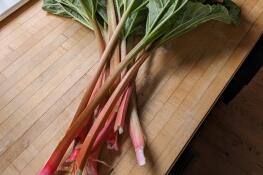 If you have rhubarb in your garden or someone shares some with you, note that the leaves are toxic. Compost those and retain just the stems.
