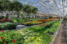 The Horticulture program at College of DuPage will be hosting its Spring Plant Sale May 9-11, at the college, 425 Fawell Blvd., Glen Ellyn. Shoppers will be able to choose from a variety of uncommon annuals, perennials, fresh herbs and vegetables. Hanging baskets, mixed containers and succulents will also be available.