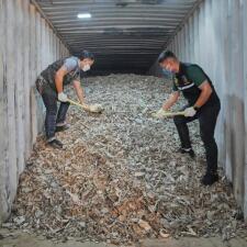 American e-waste is causing a 'hidden tsunami' in Southeast Asia, report says