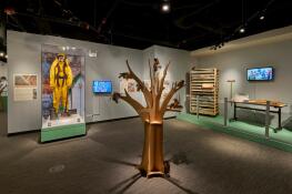 Prescribed burns and the Native Seed Nursery at Rollins Savanna are two initiatives addressed at a special exhibition.
