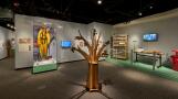 Prescribed burns and the Native Seed Nursery at Rollins Savanna are two initiatives addressed at a special exhibition.